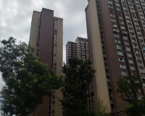合能珍宝琥珀2室2厅南