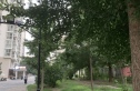 朝阳雅筑实景图