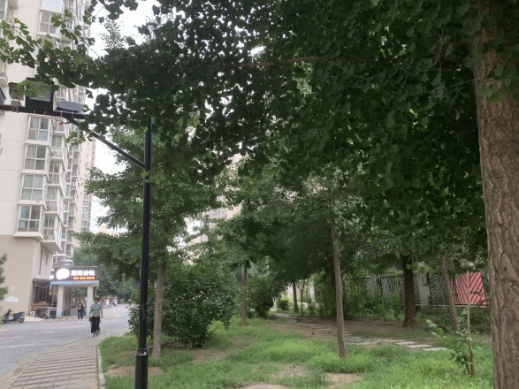 朝阳雅筑实景图