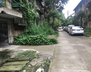 红房子 2室1厅 东南