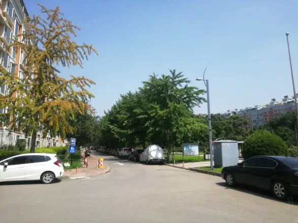 望都家园实景图