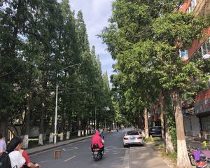 教育路11号精装修,三室,看房方便,中间楼层