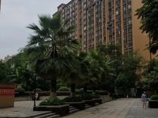 时代锦翠 4室1厅 南