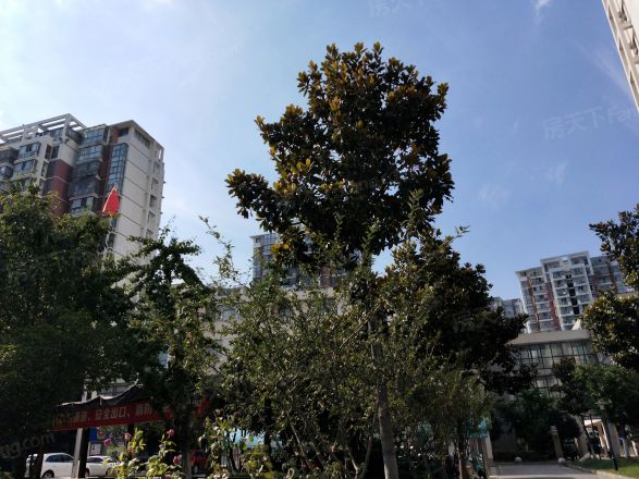 花南家园实景图