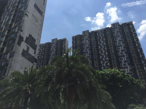 万科金域蓝湾实景图