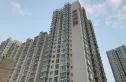朝阳雅筑实景图