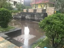 公园旁小户型,双气,出行方便,月供低