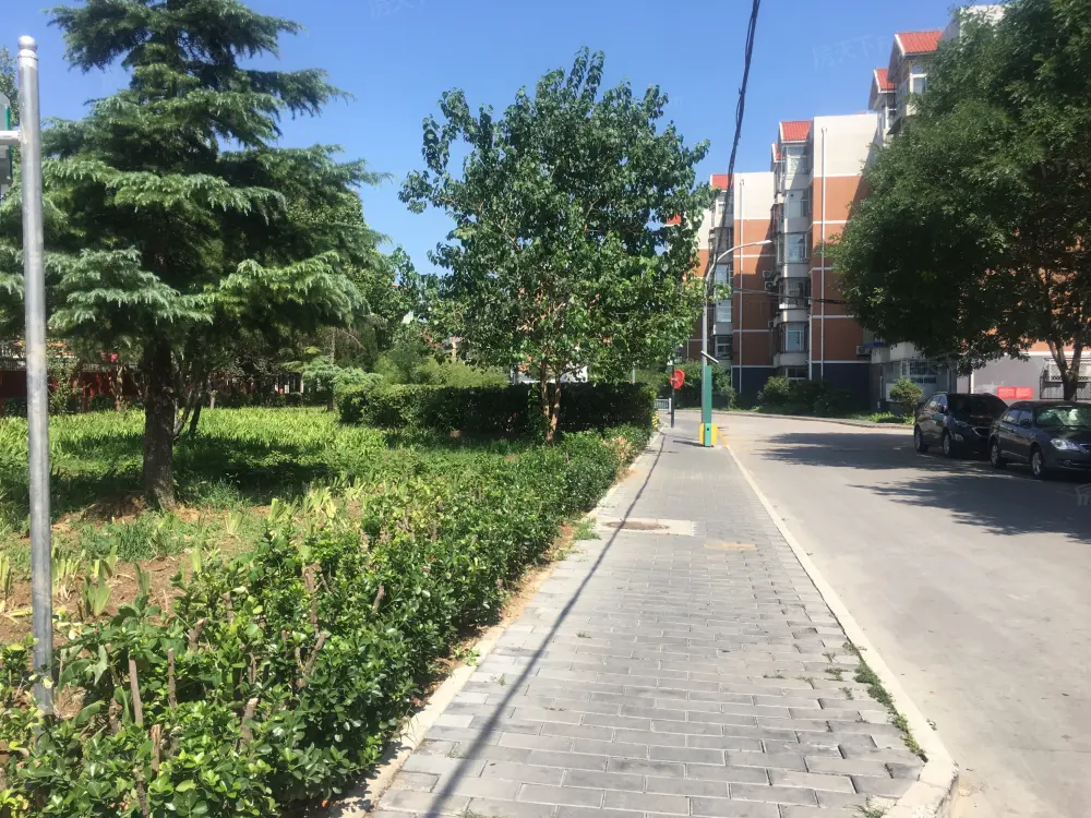 实景图