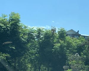小区环境优美,空气清新,楼层户型俱佳,采光充足。
