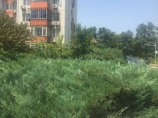 上地东里 4室1厅 南