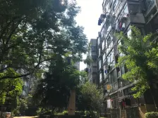 精装三房两厅两卫 拎包入住 出行方便