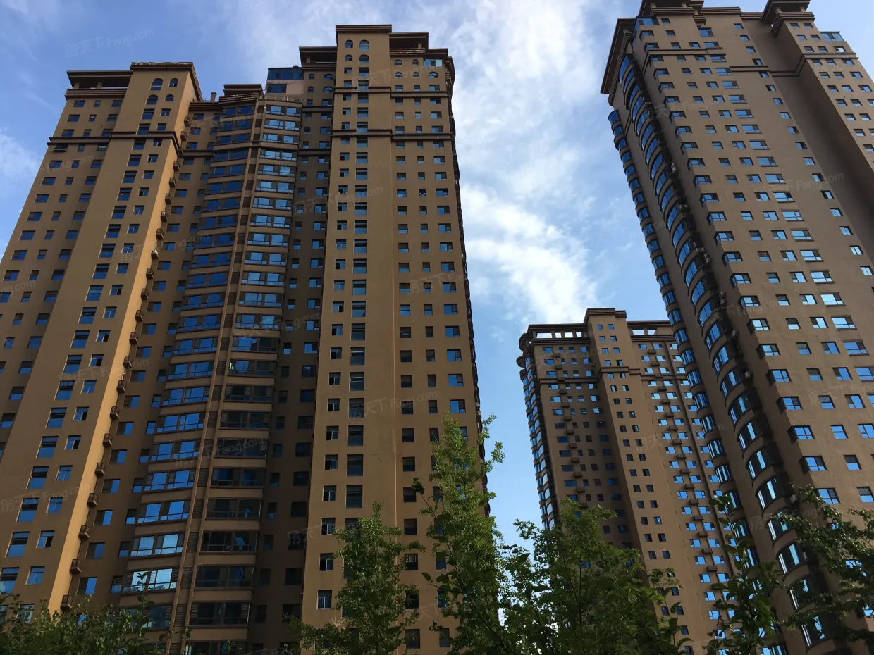 别名:嘉怡国际丽都城