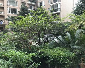 同仁居3室2厅东南