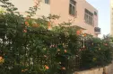 立城苑小区实景图