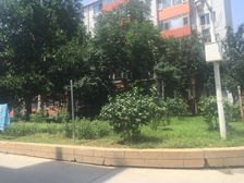 上地东里1室1厅南北