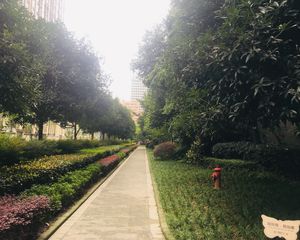 蜀郡又一城3室2厅南
