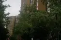 开元国际社区实景图
