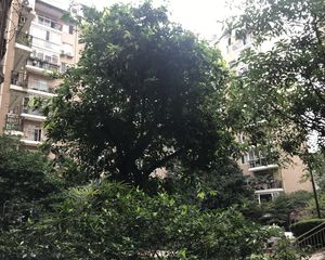 同仁居3室2厅南