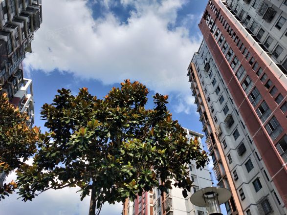 花南家园实景图