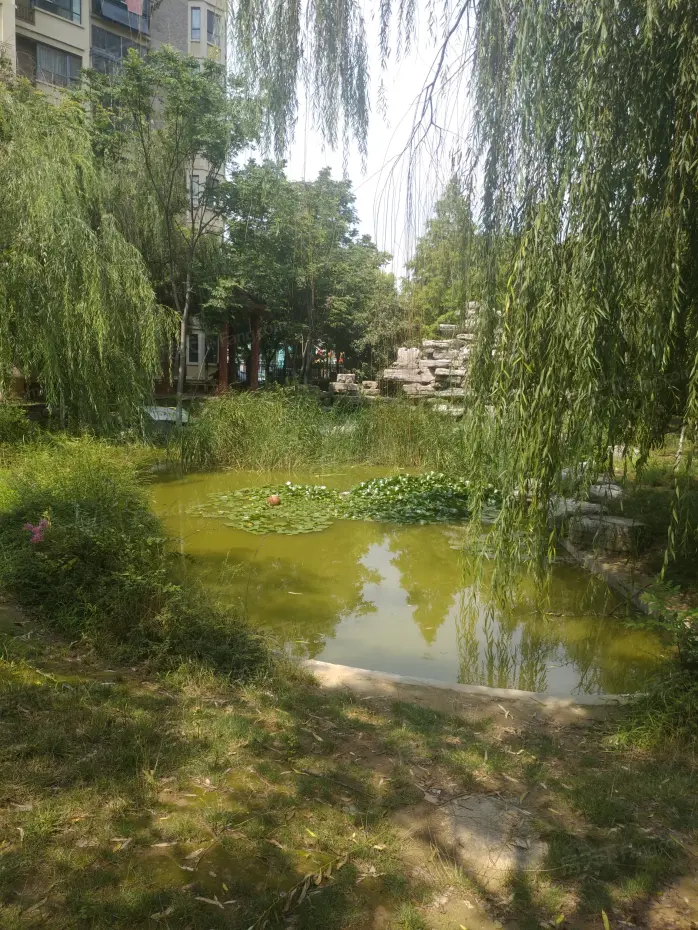 【徐州坤泰御景湾小区,二手房,租房 徐州房天下