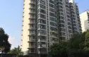 金色江南四期实景图