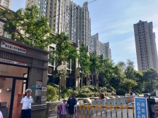 新上4+1房型 毛坯房任意装修 诚心出售 看了不想走