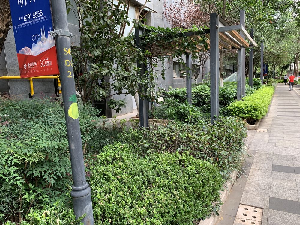 小区相关图