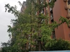 北新国际二期1室1厅西