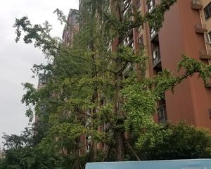 北新国际二期2室1厅南
