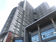 相城大道 空中别墅三层顶复 带空中露台花园100平 急售