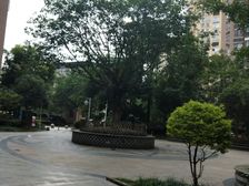 御城 1室0厅 东南 南 西南