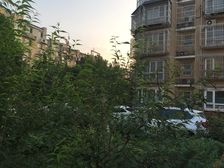 青塔·万恒家园·3室·2厅