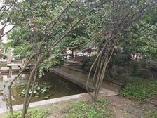 兴元丽都 3室1厅 南