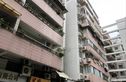 金羊花园实景图