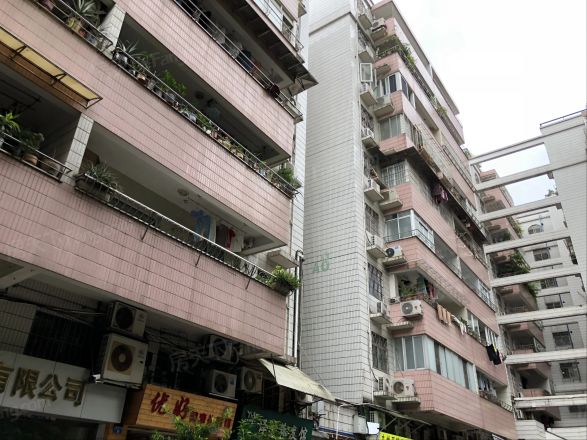 金羊花园实景图