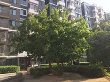 建邦枫景地铁边优选南向一居室