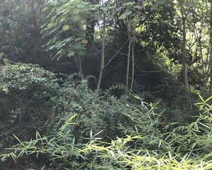 户型好,大阳台地铁近环境好,楼层视野好