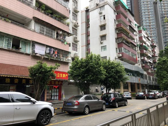 金羊花园实景图