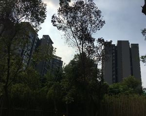 蓝光金悦金沙3室2厅西南