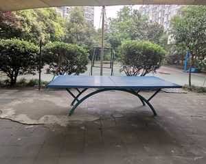 兴元丽都3室2厅南