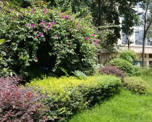 泰基南棠1室1厅东南