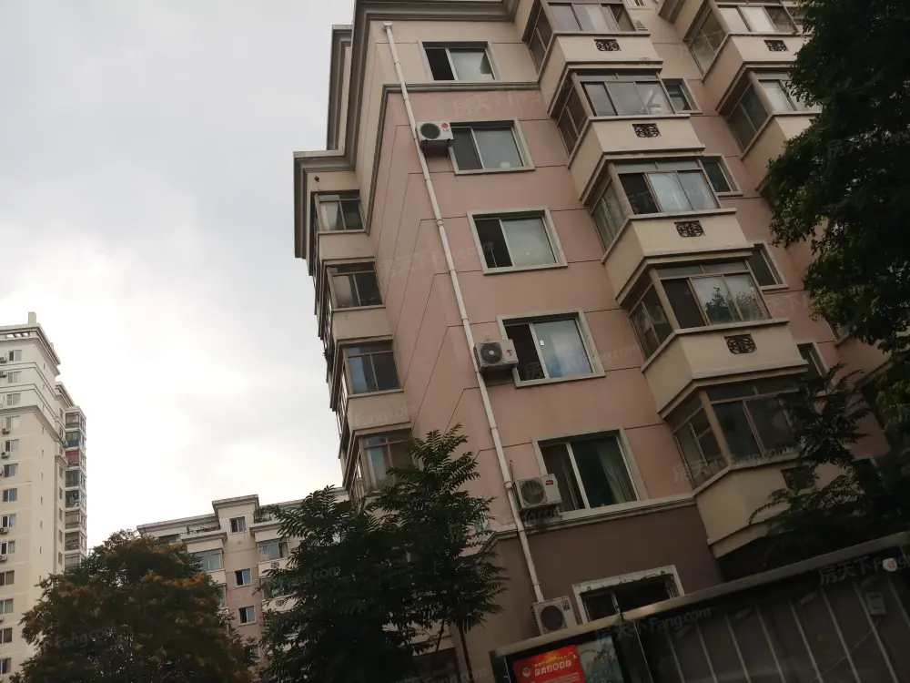实景图