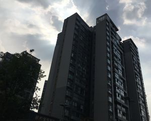 蓝光金悦金沙3室1厅西南