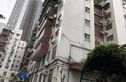 金羊花园实景图