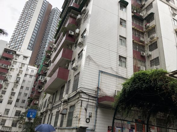 金羊花园实景图