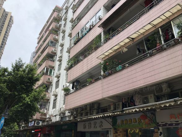 金羊花园实景图