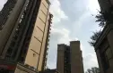 保利梧桐语实景图