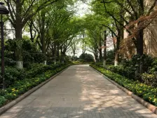 看两江交汇 视野开阔 来福士江北城尽收眼底