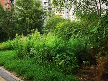 常营丽景园南北通透的两居室小区中间楼没遮挡
