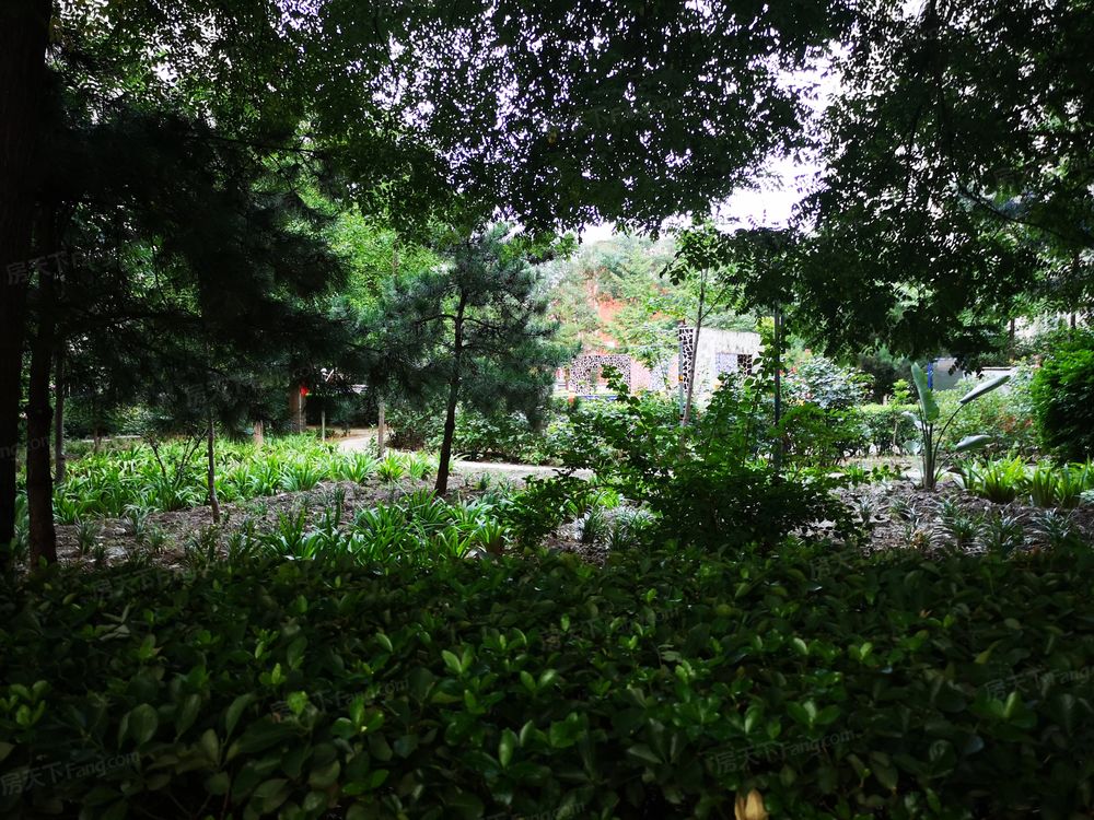 小区相关图
